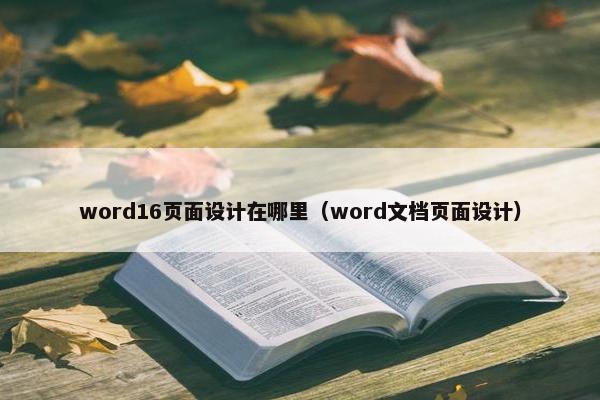 word16页面设计在哪里（word文档页面设计）