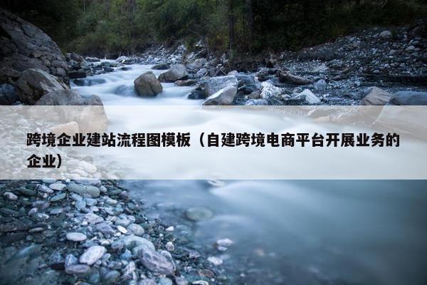 跨境企业建站流程图模板（自建跨境电商平台开展业务的企业）