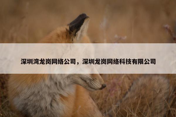 深圳湾龙岗网络公司，深圳龙岗网络科技有限公司