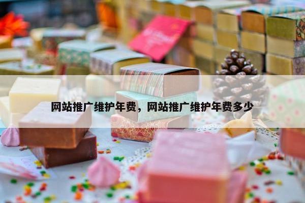网站推广维护年费，网站推广维护年费多少