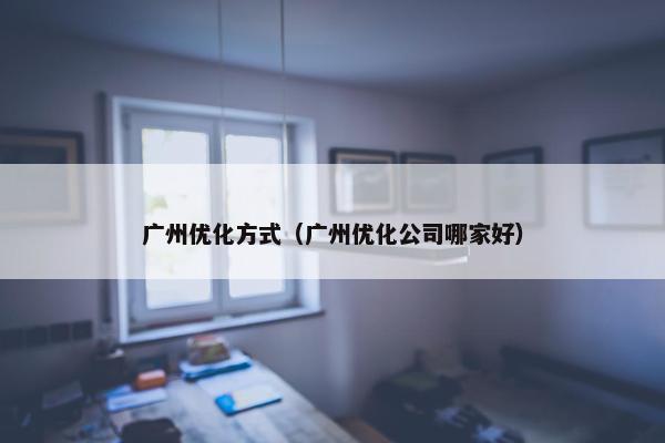 广州优化方式（广州优化公司哪家好）