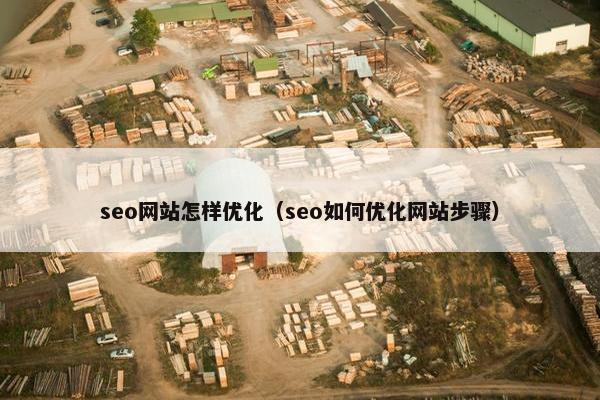 seo网站怎样优化（seo如何优化网站步骤）