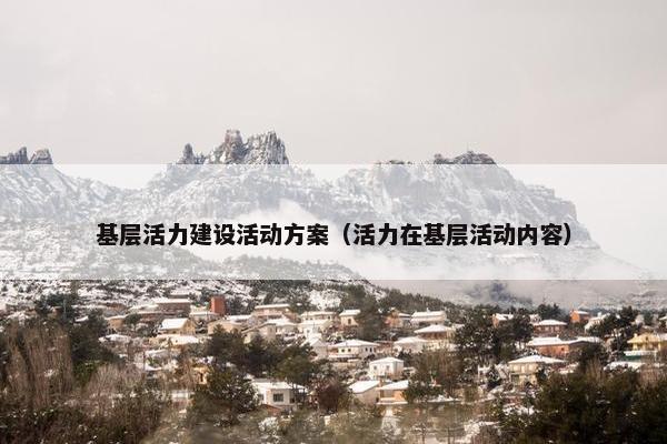 基层活力建设活动方案（活力在基层活动内容）
