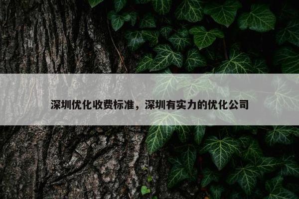 深圳优化收费标准，深圳有实力的优化公司
