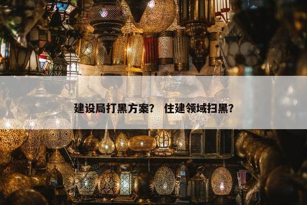 建设局打黑方案？ 住建领域扫黑？