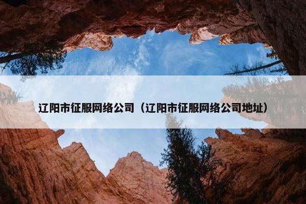 辽阳市征服网络公司（辽阳市征服网络公司地址）
