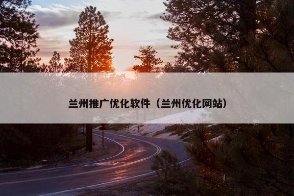 兰州推广优化软件（兰州优化网站）