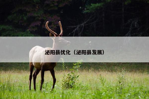 泌阳县优化（泌阳县发展）