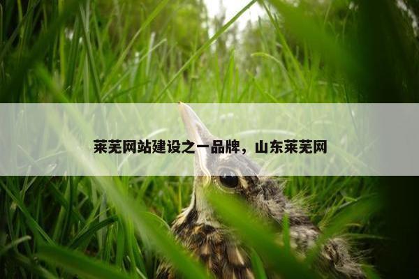 莱芜网站建设之一品牌，山东莱芜网