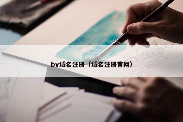 bv域名注册（域名注册官网）