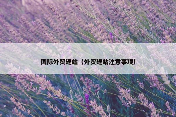 国际外贸建站（外贸建站注意事项）