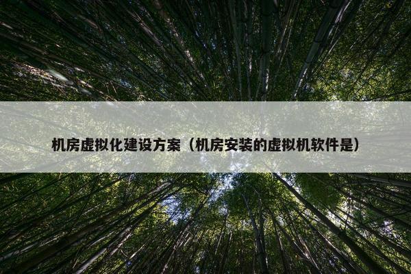 机房虚拟化建设方案（机房安装的虚拟机软件是）