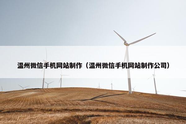 温州微信手机网站制作（温州微信手机网站制作公司）