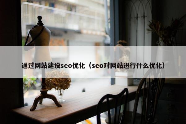 通过网站建设seo优化（seo对网站进行什么优化）