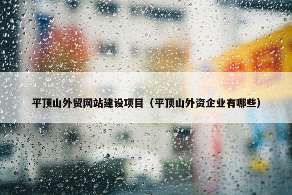 平顶山外贸网站建设项目（平顶山外资企业有哪些）