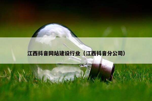 江西抖音网站建设行业（江西抖音分公司）