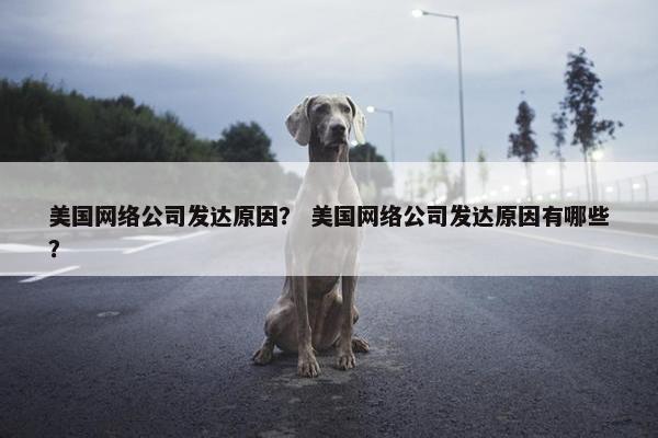 美国网络公司发达原因？ 美国网络公司发达原因有哪些？