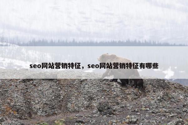 seo网站营销特征，seo网站营销特征有哪些
