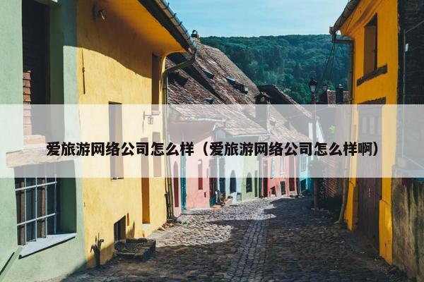爱旅游网络公司怎么样（爱旅游网络公司怎么样啊）
