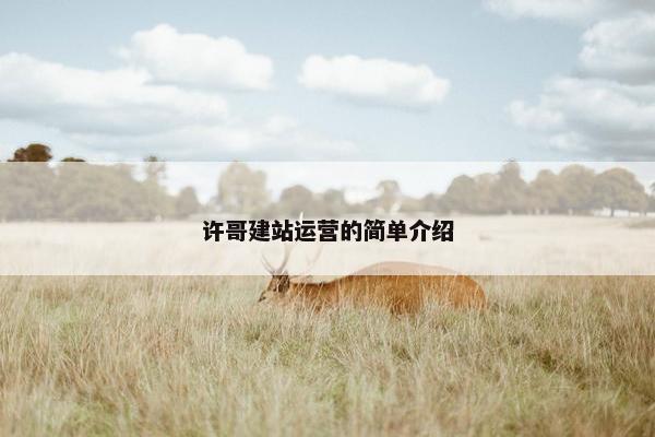 许哥建站运营的简单介绍