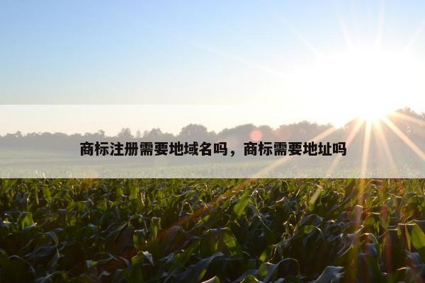 商标注册需要地域名吗，商标需要地址吗