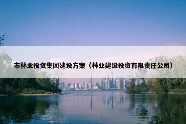 市林业投资集团建设方案（林业建设投资有限责任公司）