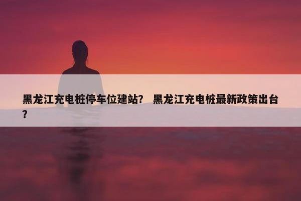 黑龙江充电桩停车位建站？ 黑龙江充电桩最新政策出台？