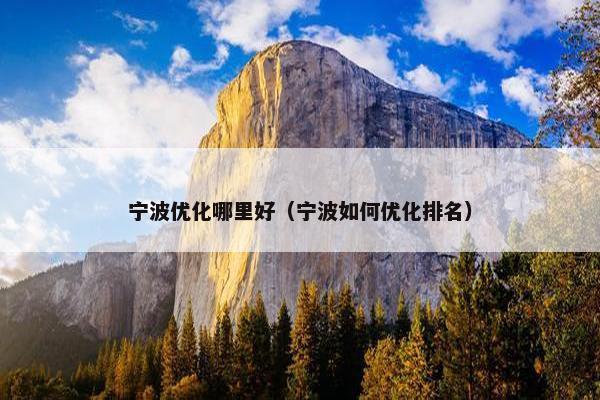 宁波优化哪里好（宁波如何优化排名）