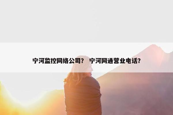 宁河监控网络公司？ 宁河网通营业电话？