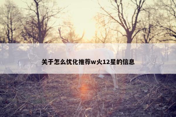 关于怎么优化推荐w火12星的信息