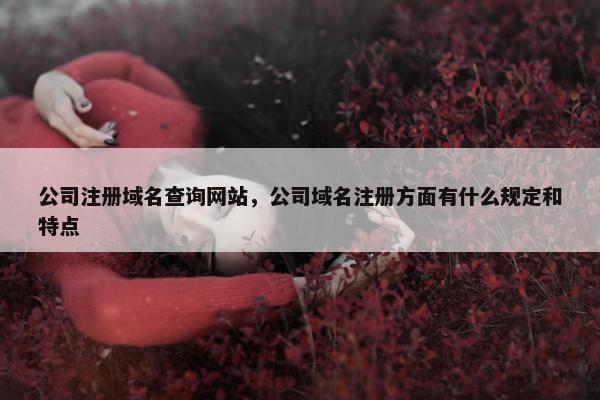 公司注册域名查询网站，公司域名注册方面有什么规定和特点