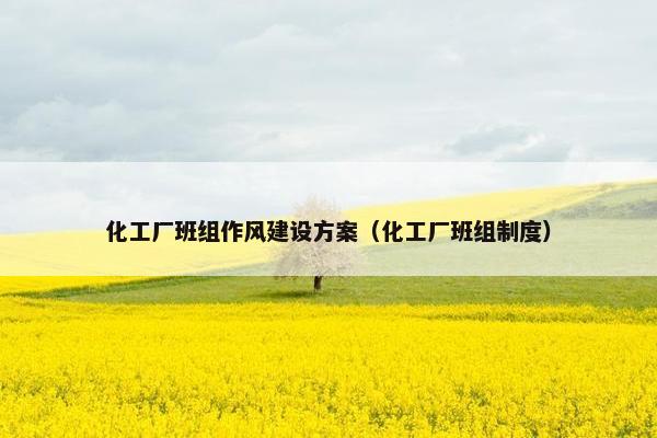 化工厂班组作风建设方案（化工厂班组制度）