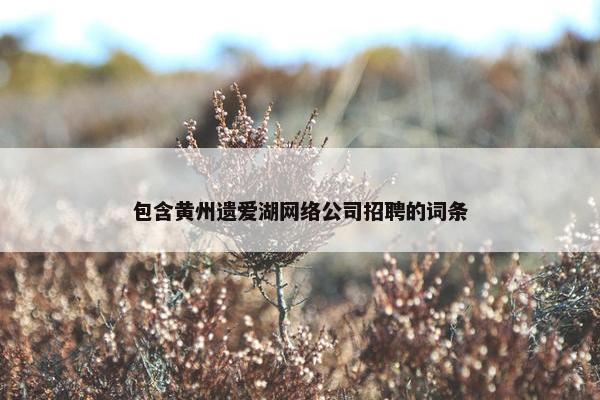 包含黄州遗爱湖网络公司招聘的词条