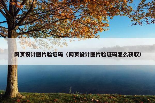 网页设计图片验证码（网页设计图片验证码怎么获取）