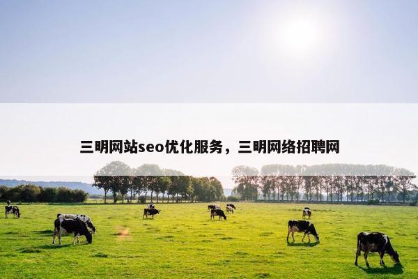 三明网站seo优化服务，三明网络招聘网