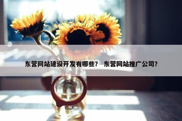 东营网站建设开发有哪些？ 东营网站推广公司？