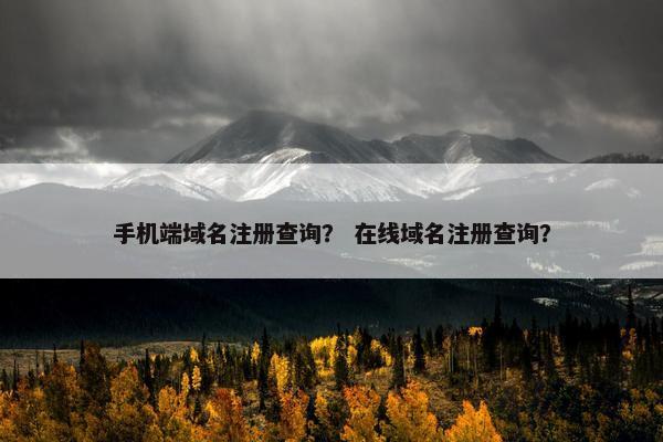 手机端域名注册查询？ 在线域名注册查询？