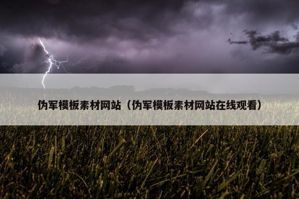 伪军模板素材网站（伪军模板素材网站在线观看）
