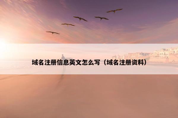 域名注册信息英文怎么写（域名注册资料）