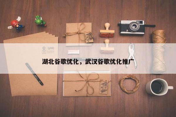 湖北谷歌优化，武汉谷歌优化推广