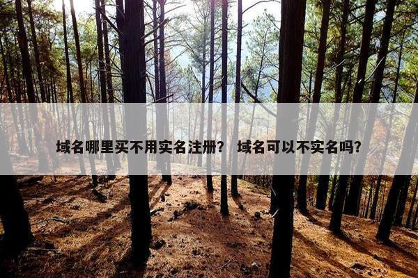 域名哪里买不用实名注册？ 域名可以不实名吗？