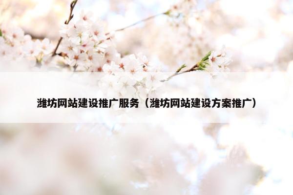 潍坊网站建设推广服务（潍坊网站建设方案推广）