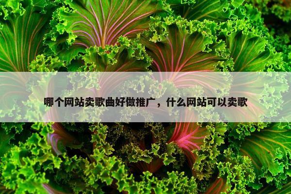 哪个网站卖歌曲好做推广，什么网站可以卖歌