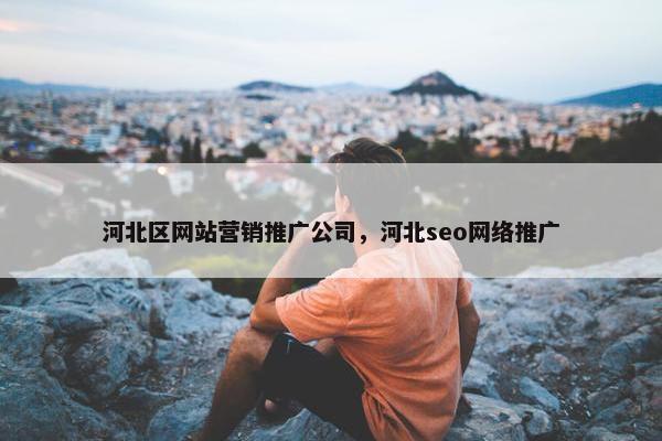 河北区网站营销推广公司，河北seo网络推广