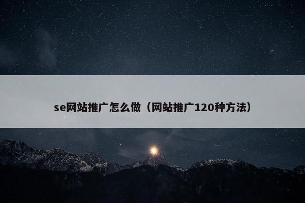 se网站推广怎么做（网站推广120种方法）
