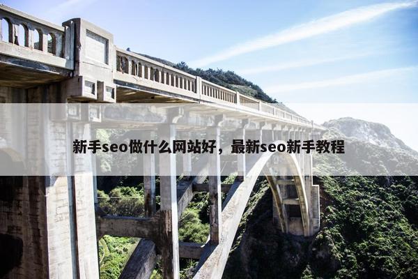 新手seo做什么网站好，最新seo新手教程