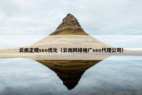 云南正规seo优化（云南网络推广seo代理公司）