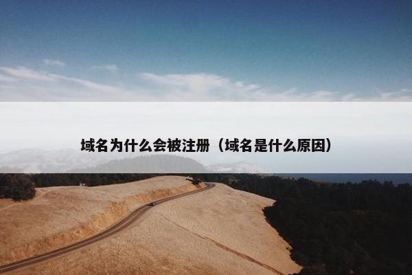 域名为什么会被注册（域名是什么原因）