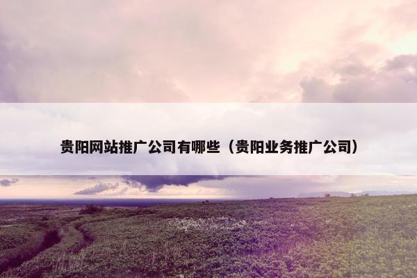 贵阳网站推广公司有哪些（贵阳业务推广公司）