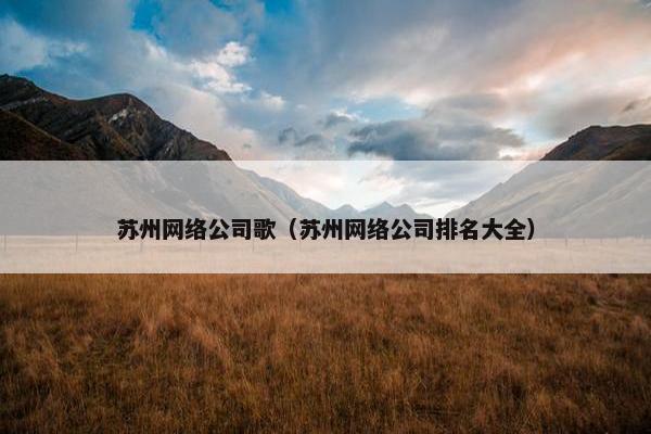 苏州网络公司歌（苏州网络公司排名大全）